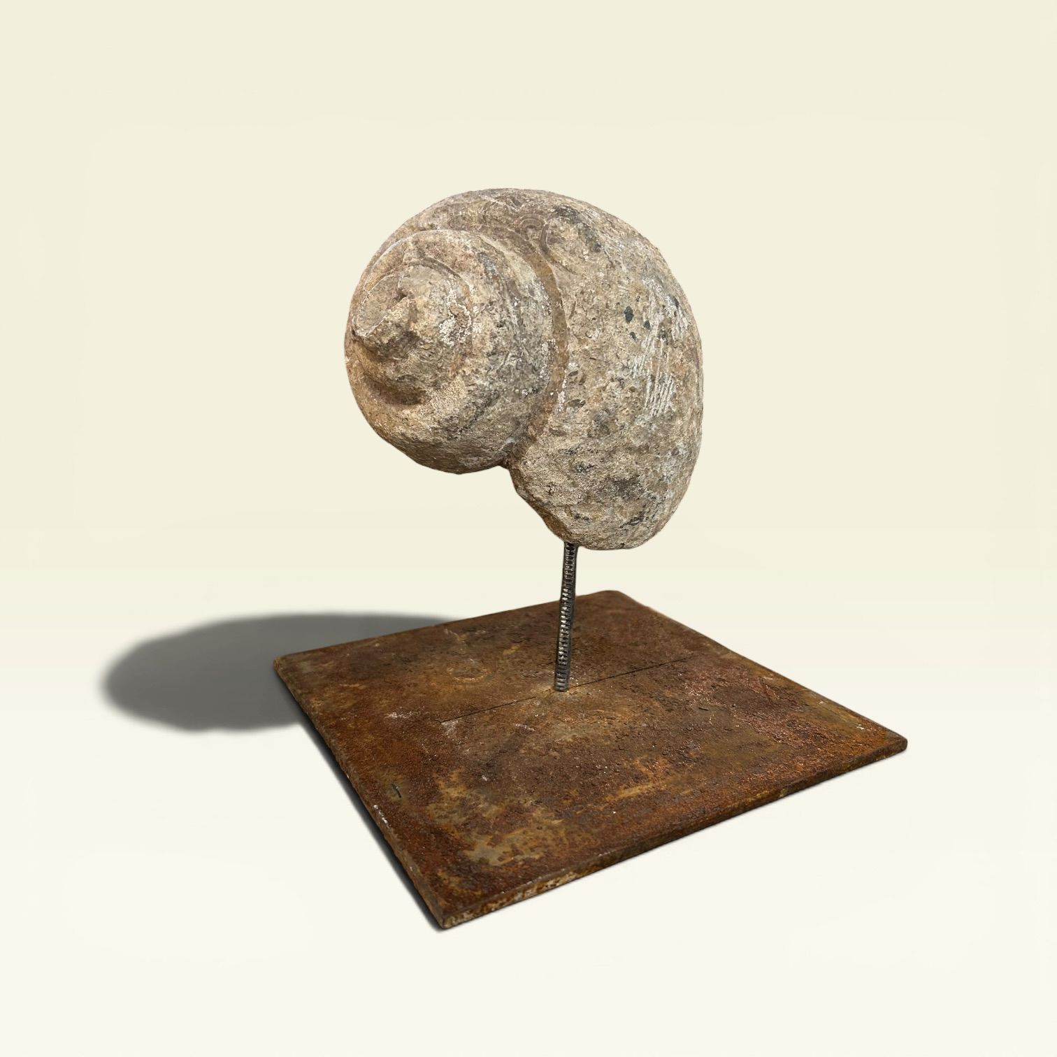 Nautilus Stone