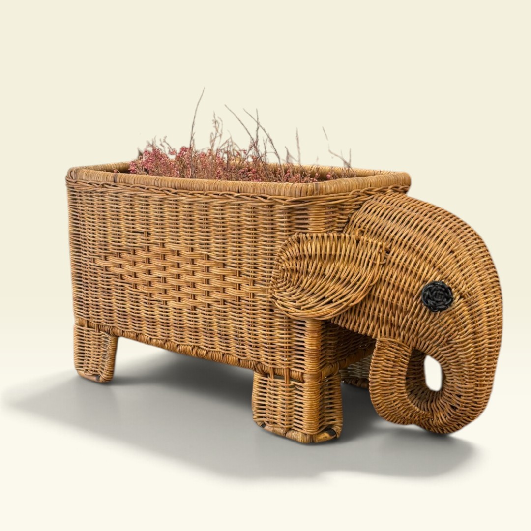 Revistero Elefante Italiano